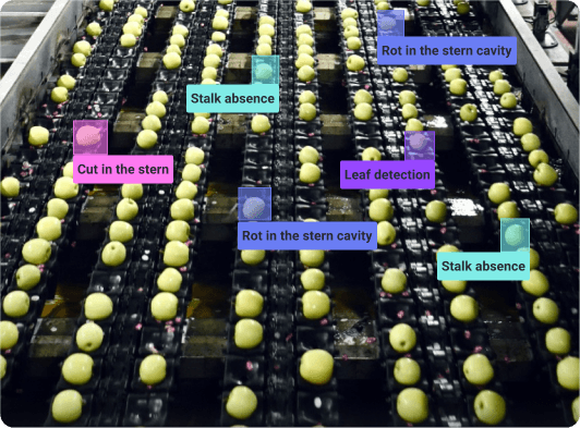 AI defect detection on a food-processing line