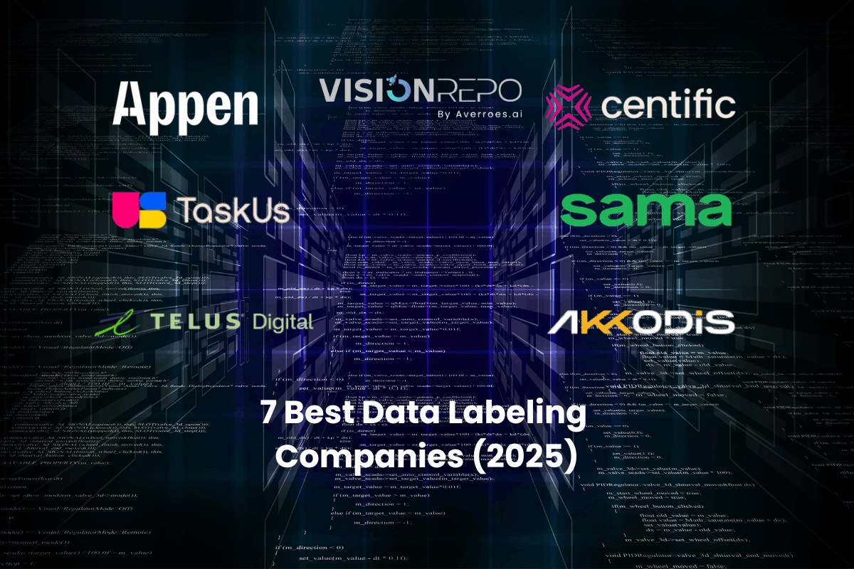 7 Best Data Labeling Companies (2025)