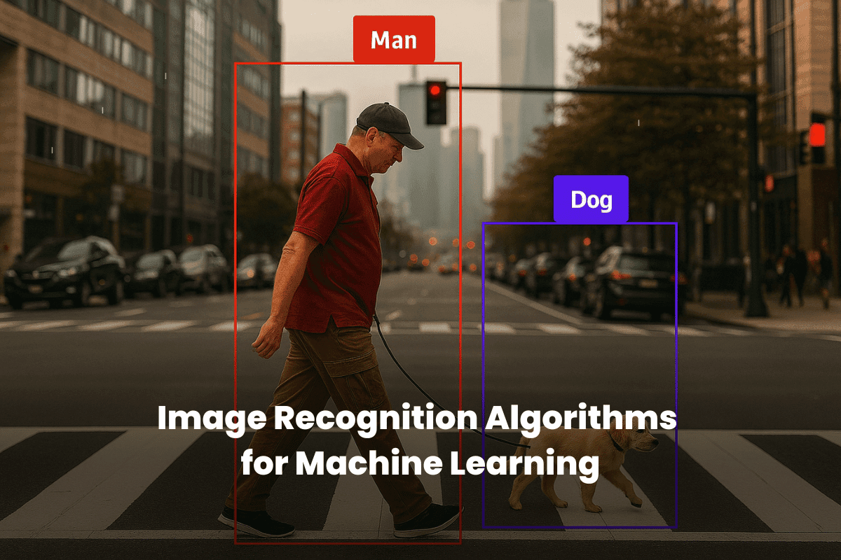 Image Recognition Algorithms for Machine Learning