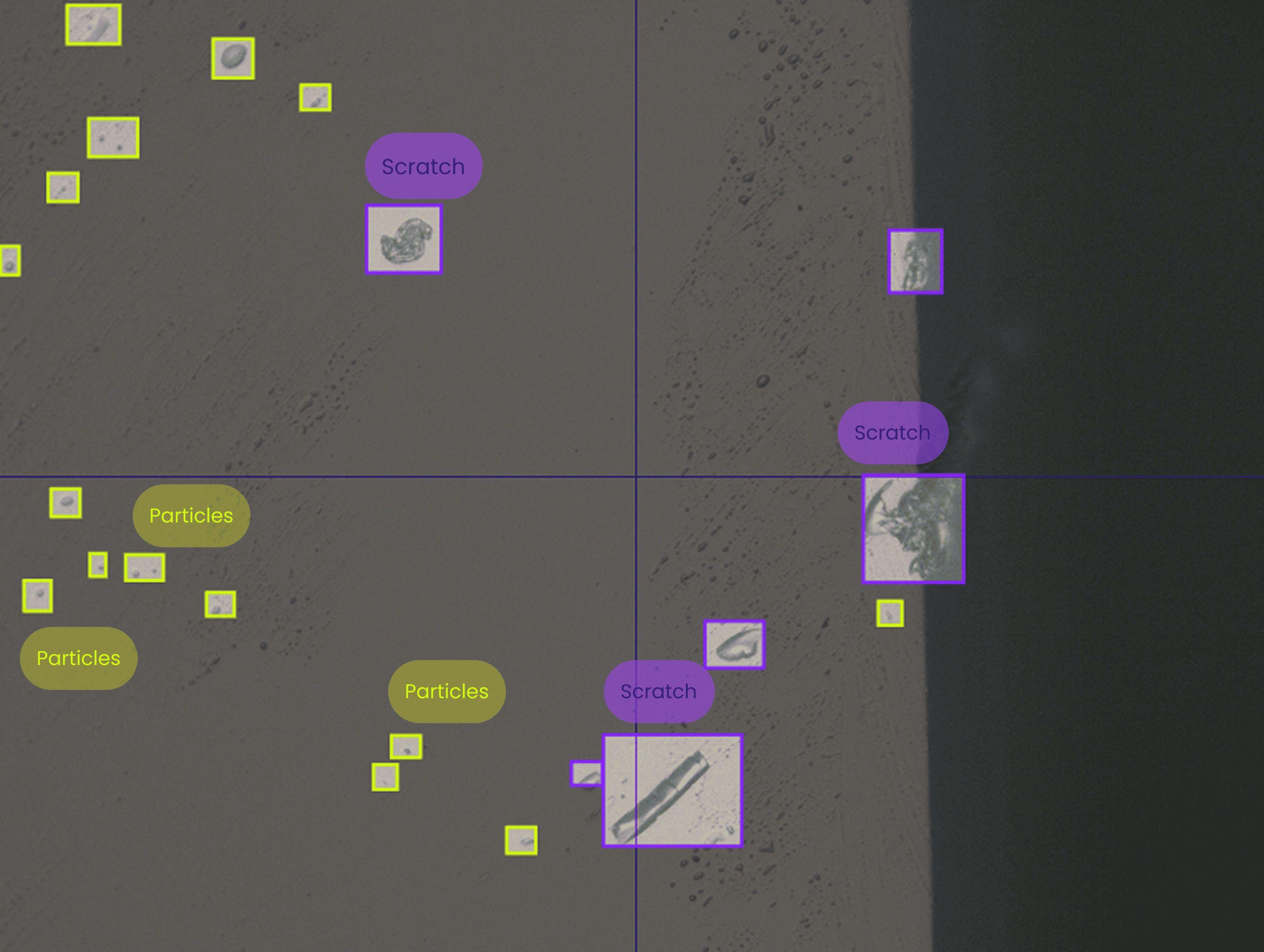 Webinar Image