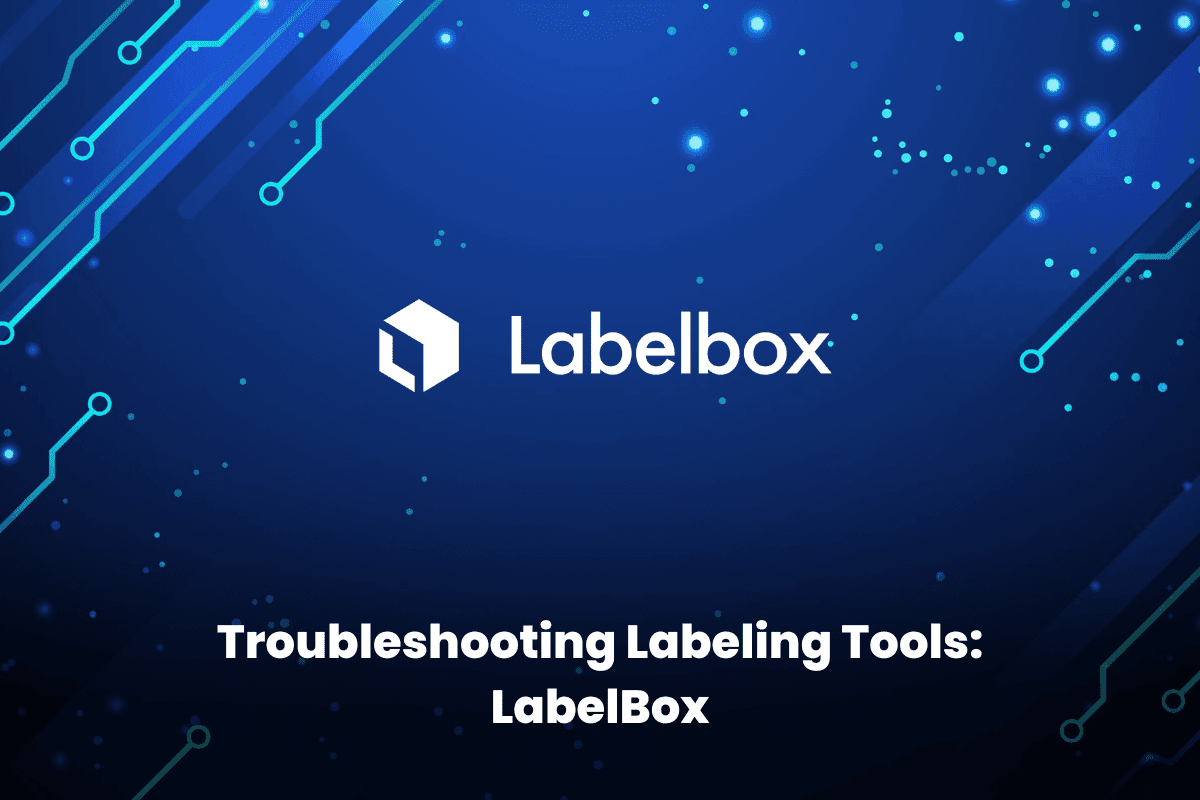 Troubleshooting Labeling Tools: LabelBox