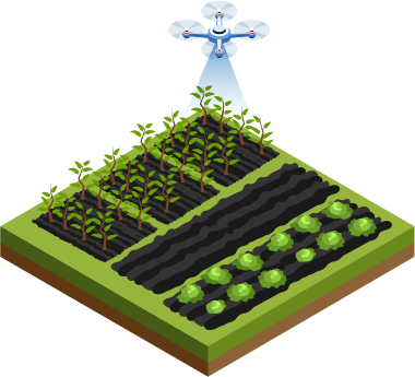 Agriculture use case
